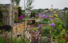 Roof garden in heart of Camden