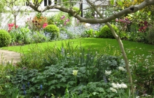 Garden in Hampstead Garden Suburb
