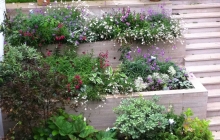 Terraced planters in Maida Vale garden